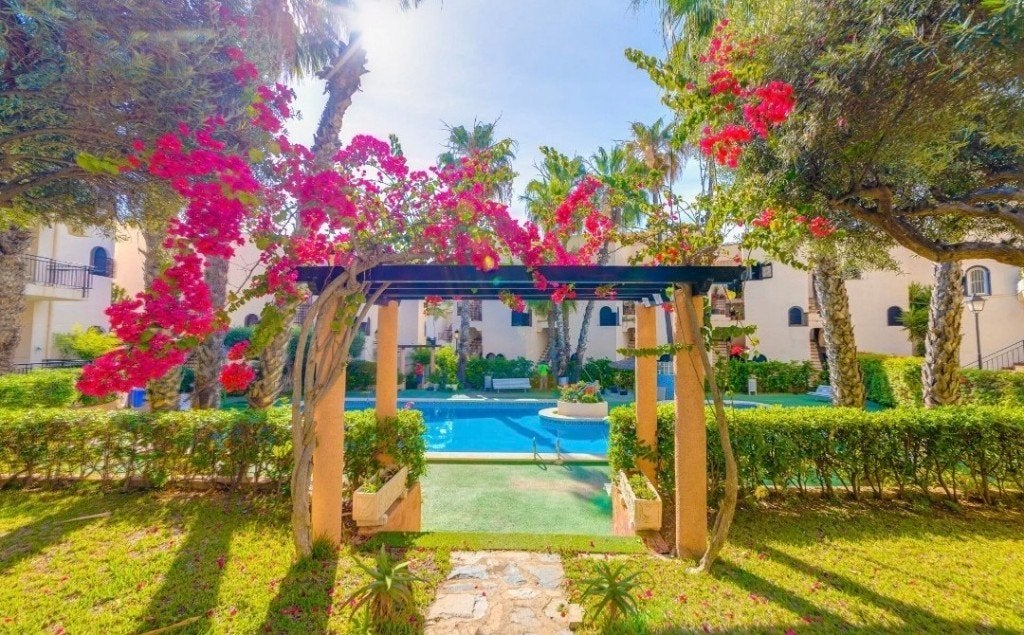 Torrevieja : Toujours disponible entre le 12/06 et le 14/07, Propriétaire, Costa Blanca, Animaux domestiques acceptés, 4 personnes