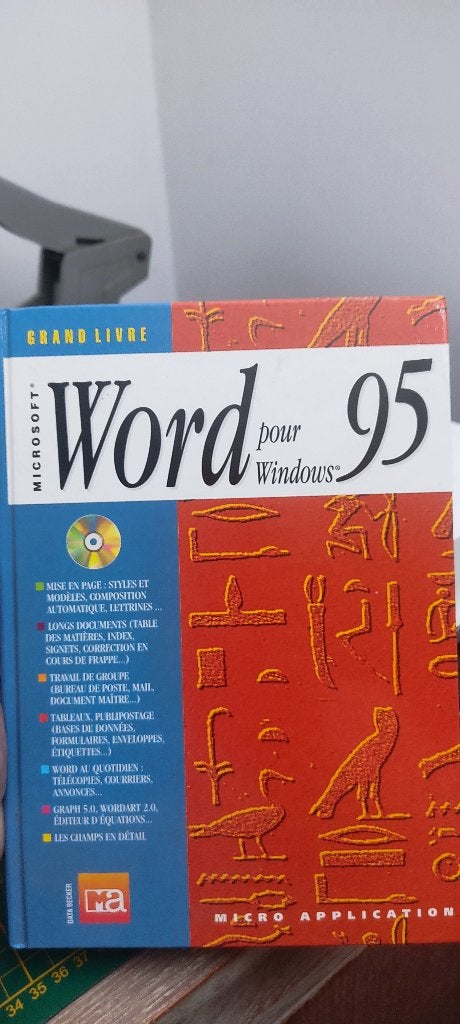 Le Grand Livre de Word 95, Comme neuf, Enlèvement, Micro Application, Logiciel