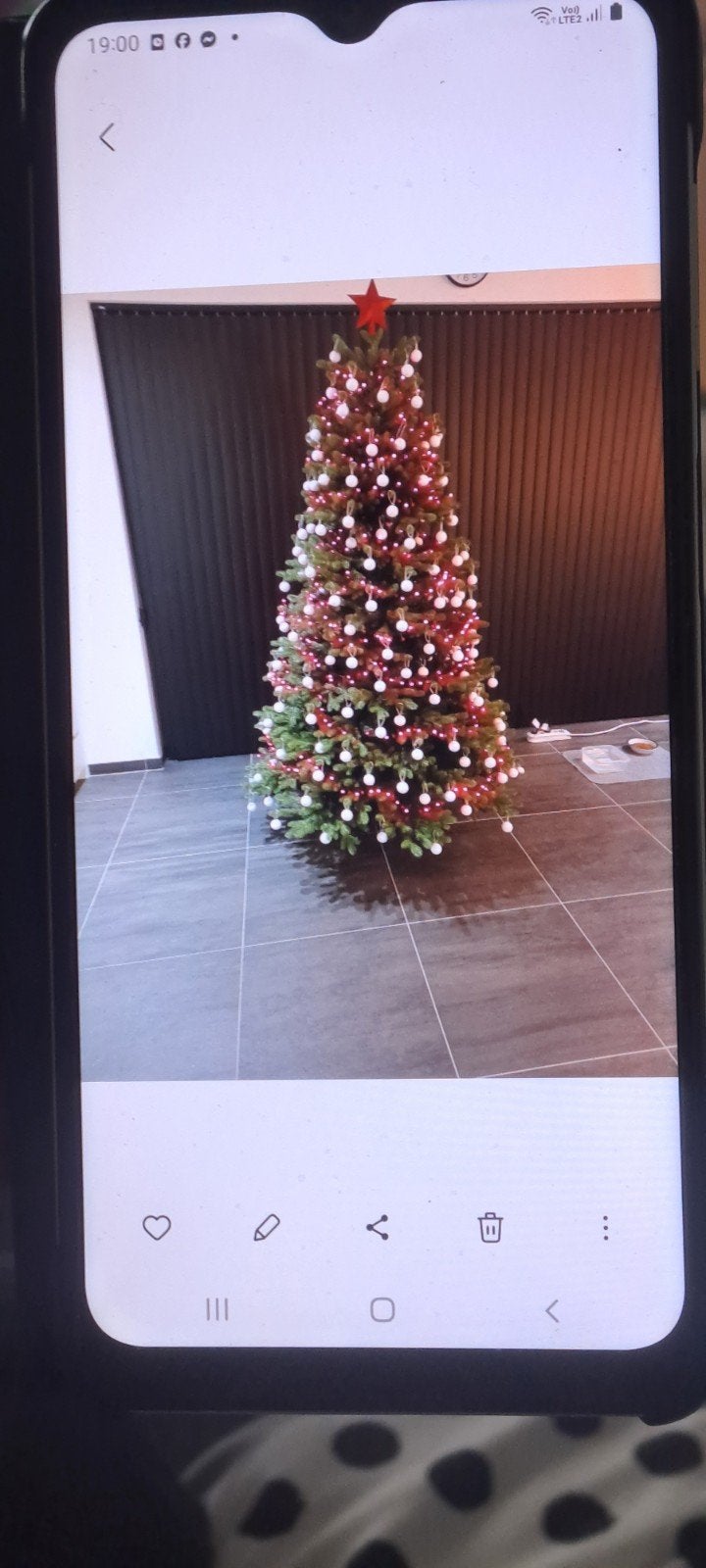 kerstboom, Enlèvement