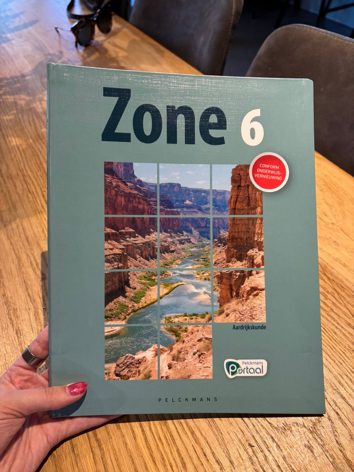 Zone 6 aardrijkskunde leerboek, Boeken, Studieboeken en Cursussen, Verzenden, Zo goed als nieuw, Hoger Onderwijs
