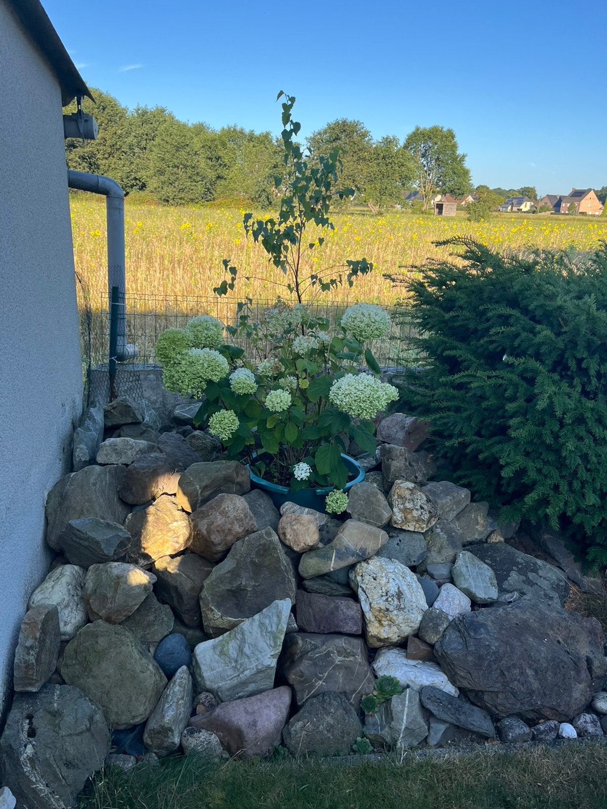 Gratis stenen, Tuin en Terras, Ophalen, Overige typen, Nieuw, 5 tot 10 m²