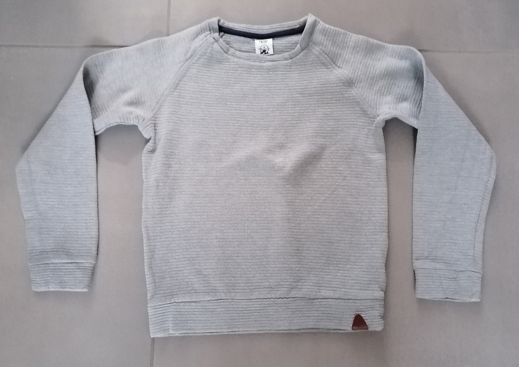 Sweater Hema,maat 134, Enfants & Bébés, Vêtements enfant | Taille 134, Garçon, Enlèvement ou Envoi, Pull ou Veste, Comme neuf