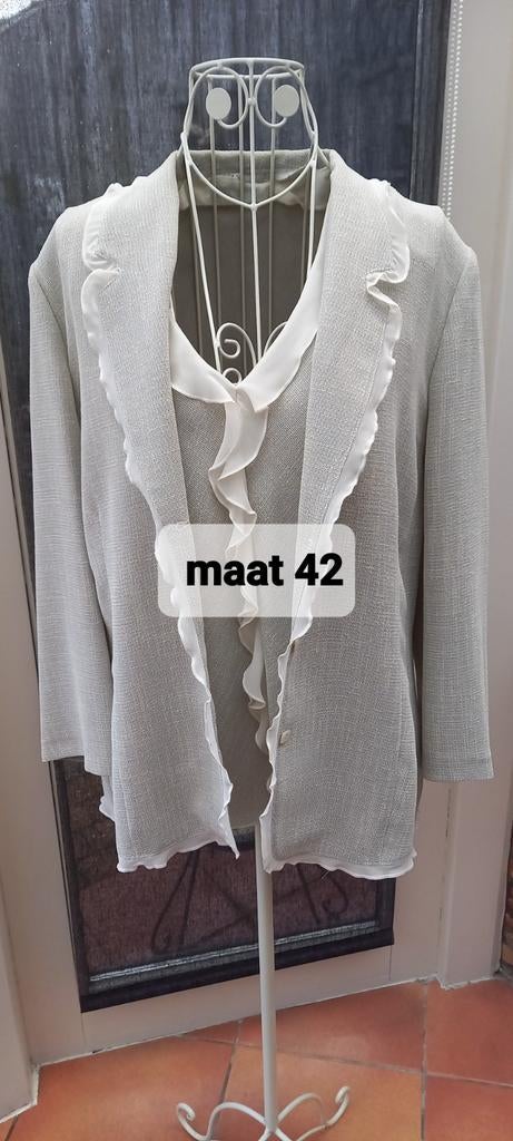 Prachtig 2 delig setje, Kleding | Dames, Blouses en Tunieken, Ophalen of Verzenden