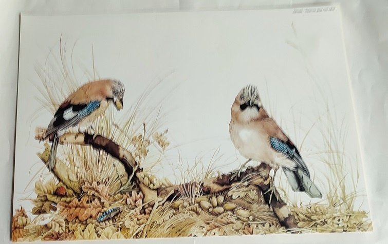 Afbeeldingen van dieren, Verzamelen, Ophalen of Verzenden