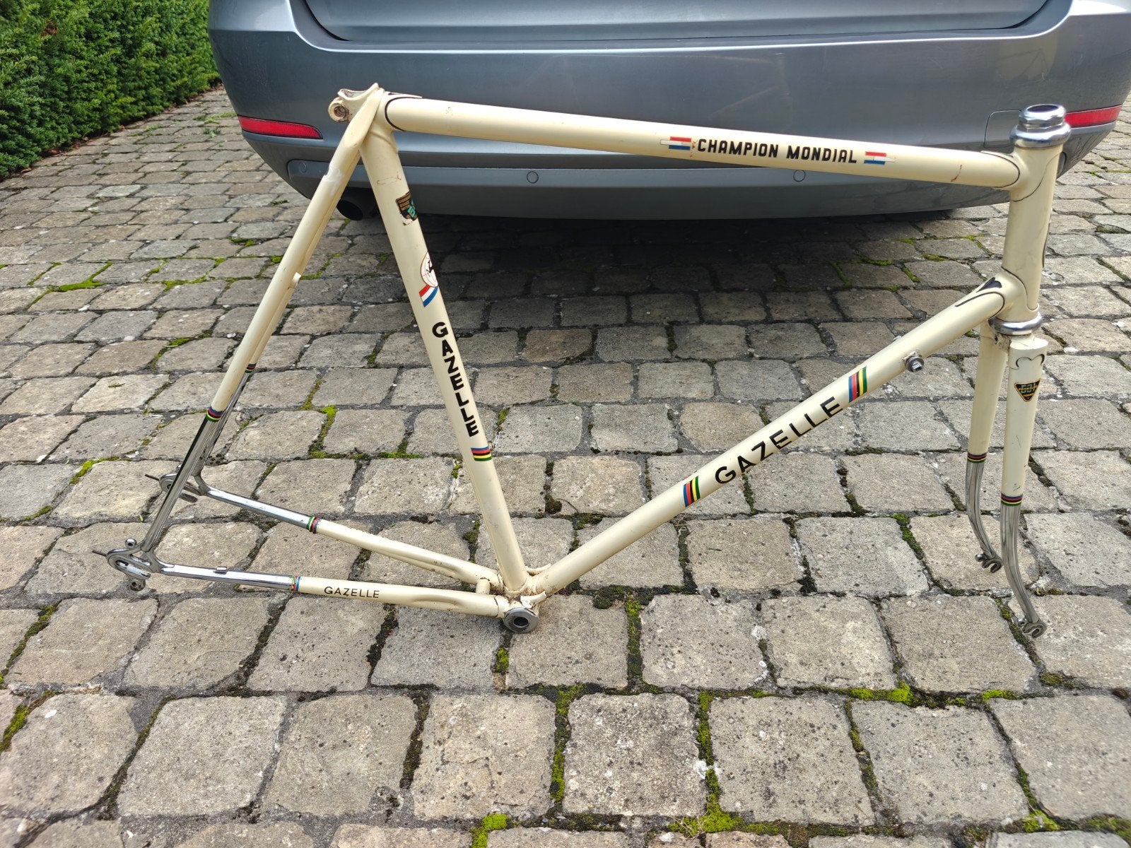 gazelle champion mondial frame maat 59, Ophalen