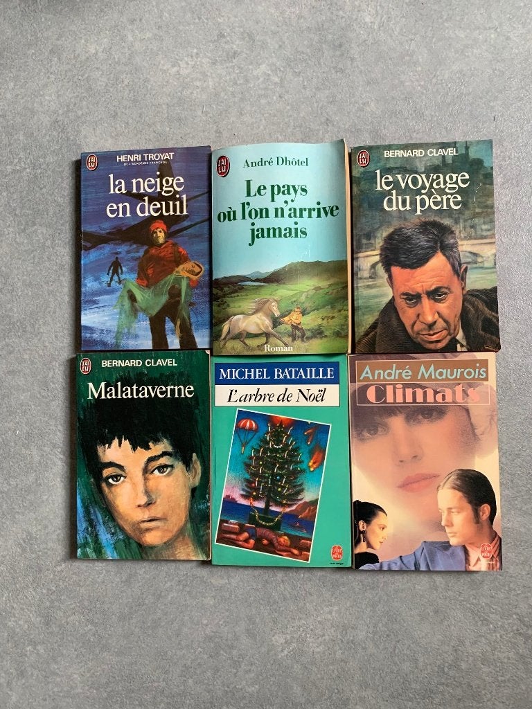 Franse leesboekjes, Ophalen of Verzenden, Gelezen, Fictie