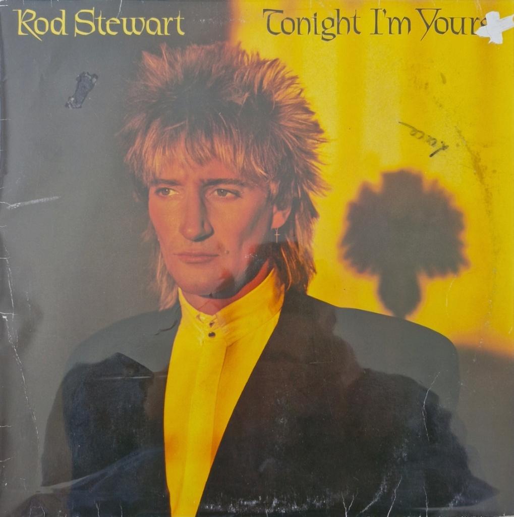 LP Rod Stewart "Tonight  I'm Yours", Beschermende buitenhoes, Ophalen of Verzenden, Gebruikt, 12 inch
