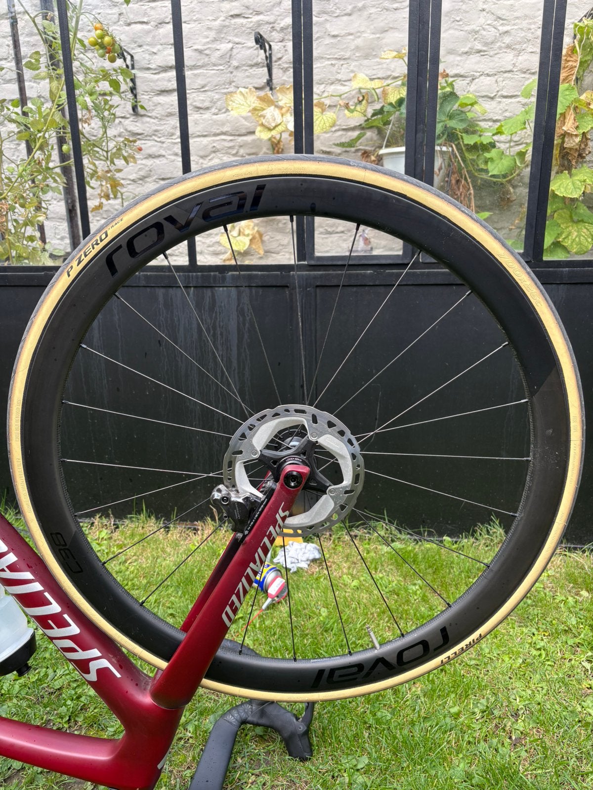 Roues roval C38 en carbone, Comme neuf, Enlèvement, Carbone, Racefiets
