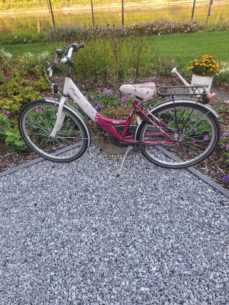 Meisjes fiets, Ophalen, Velgrem, Frizzle, Handrem