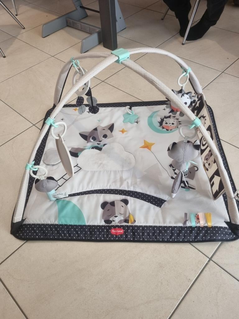 Tiny love speelmat, Kinderen en Baby's, Ophalen