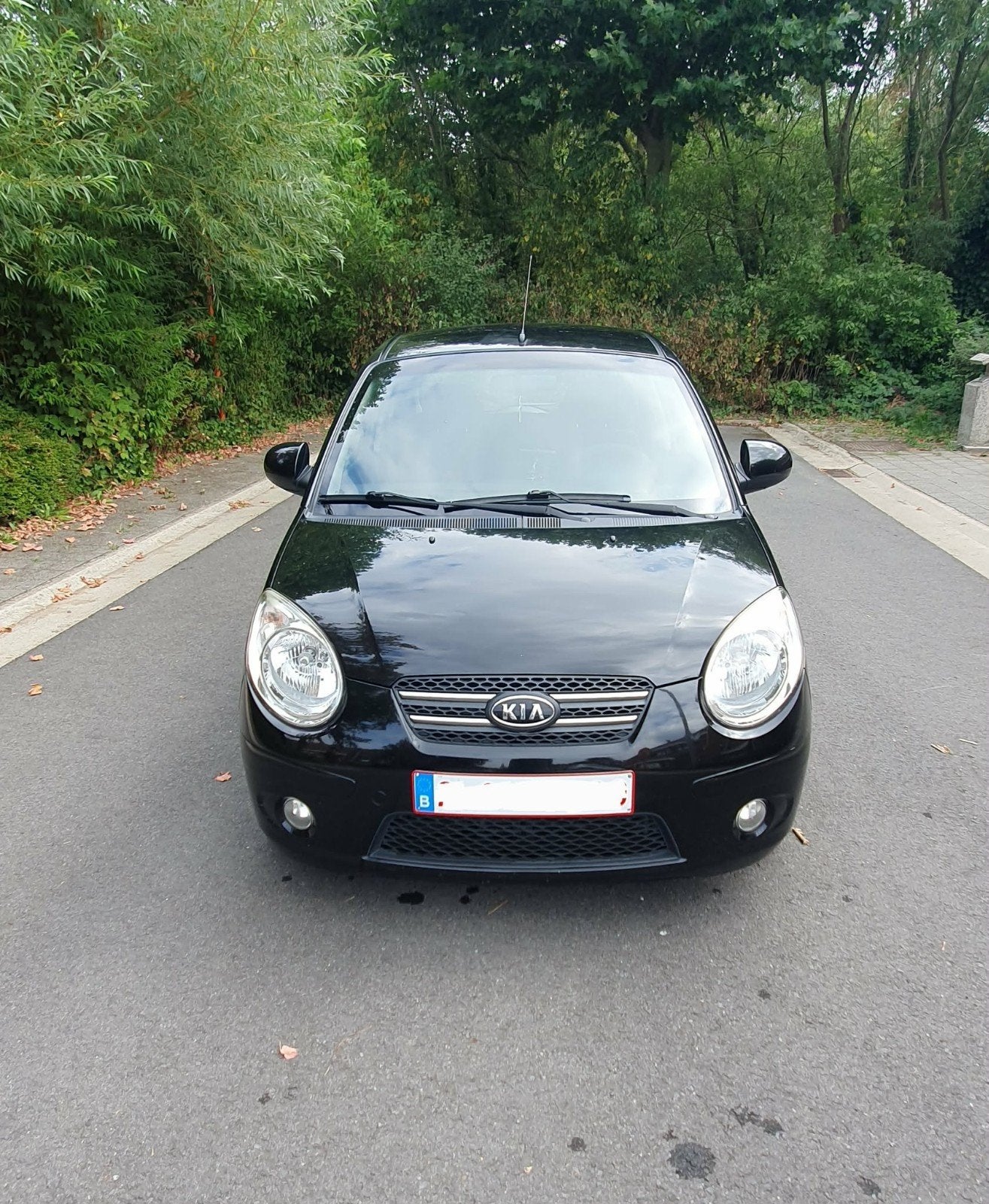 kia picanto, Auto's, Stof, 5 deurs, Euro 4, Picanto