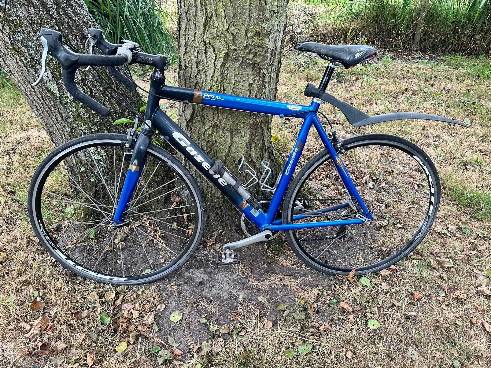 Gazelle Prima 7000 series sportfiets, Fietsen en Brommers, Ophalen, Gebruikt, Velgrem, Gazelle