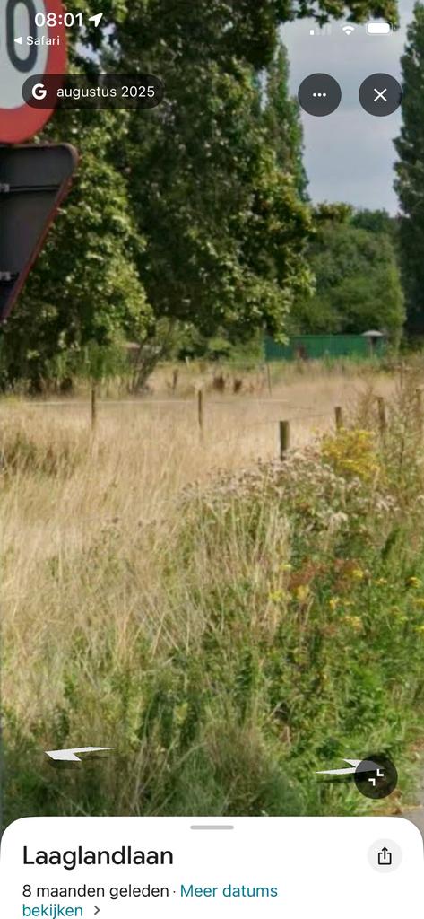 Opzoek naar schuilstal, Dieren en Toebehoren, Weidegang, 2 of 3 paarden of pony's