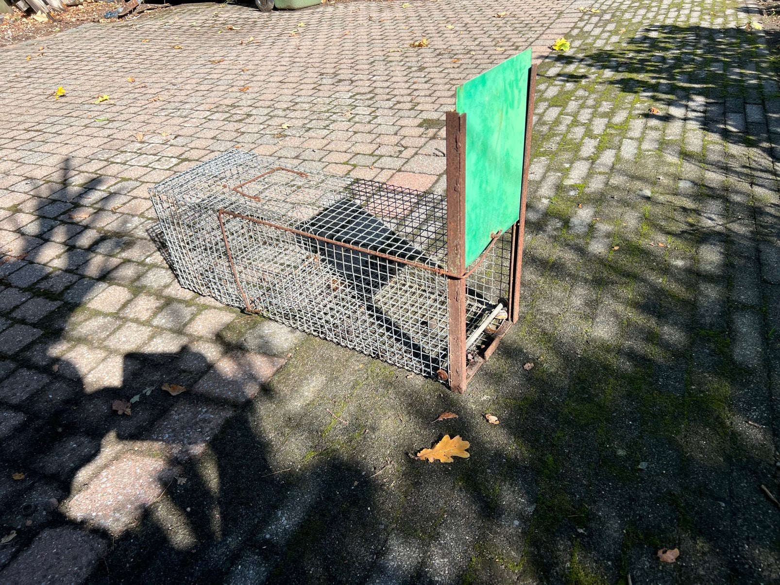 Vangkooi, Ophalen
