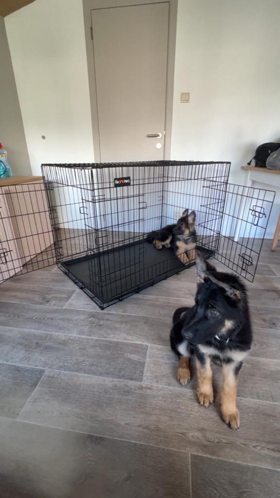 Hondenbench te koop, Dieren en Toebehoren, Ophalen, Zo goed als nieuw