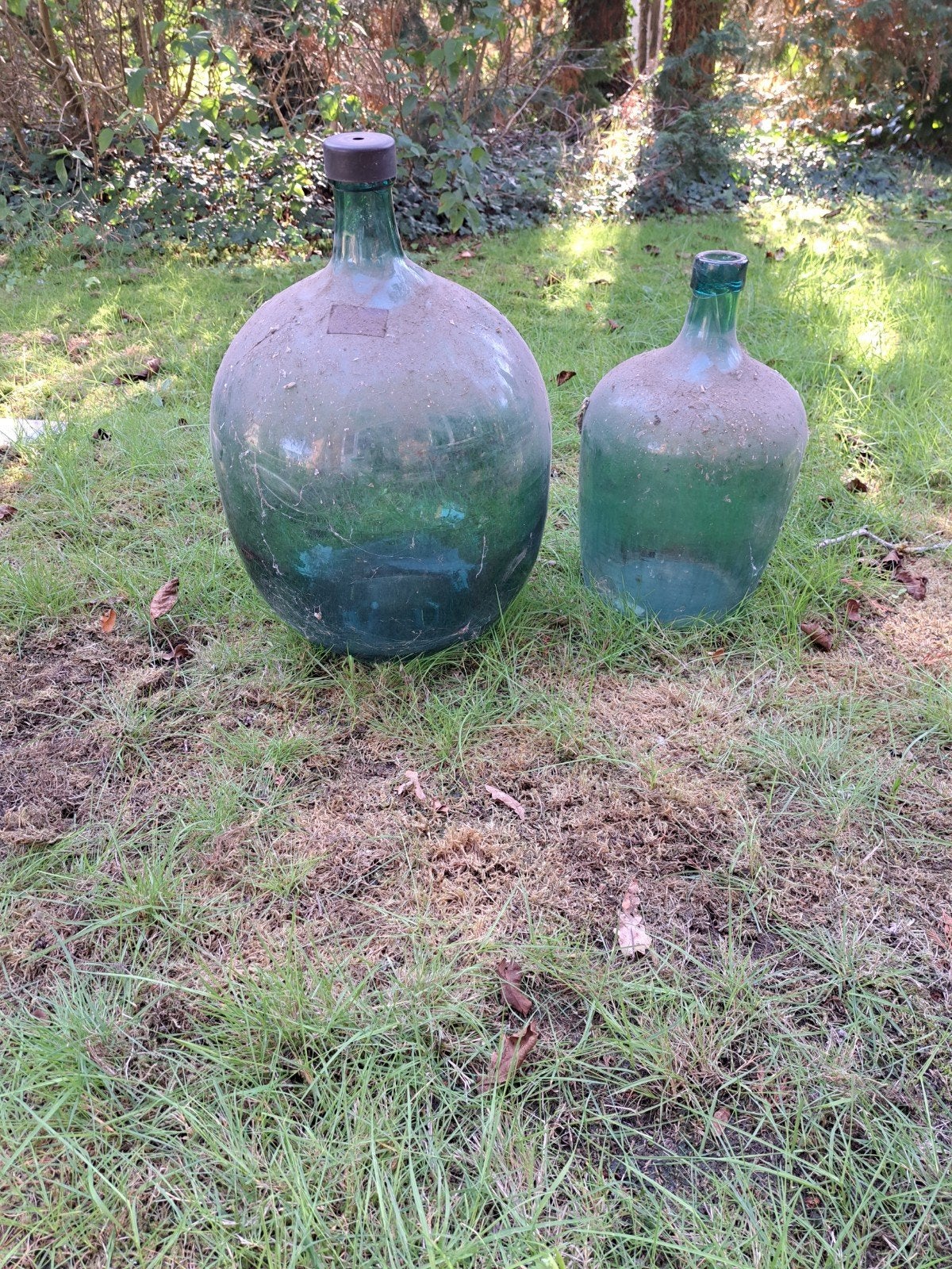 glazen stolp, Tuin en Terras, Ophalen