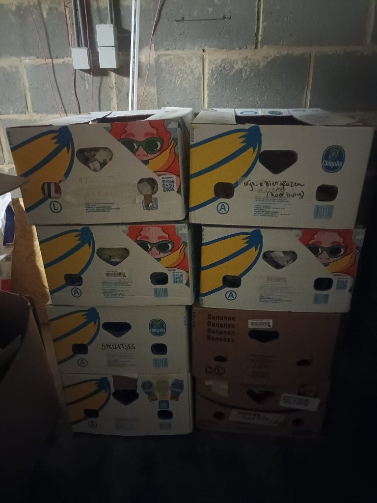 Caisses de bananes gratuites à récupérer à Heverlee, Enlèvement, Utilisé