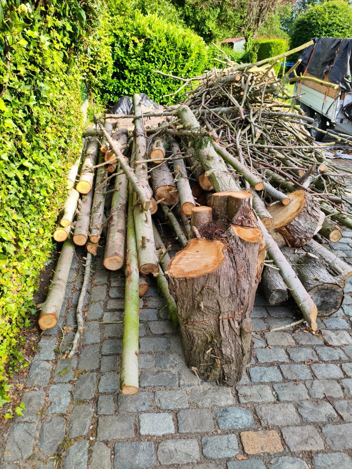Bois : +/- 3 stères, Jardin & Terrasse, 3 à 6 m³, Enlèvement, Autres essences de bois, Branches