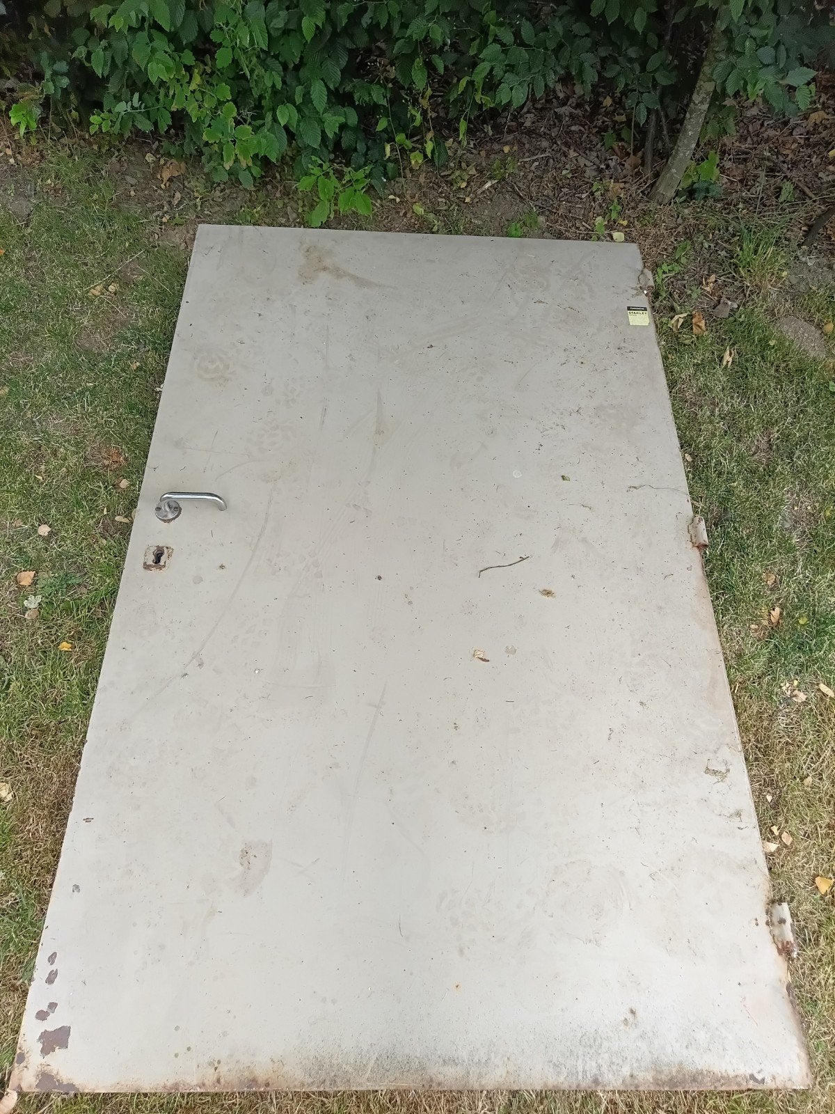 Porte métallique très robuste – 124  197 cm, Enlèvement, Utilisé, Autres matériaux, 20 à 50 mm