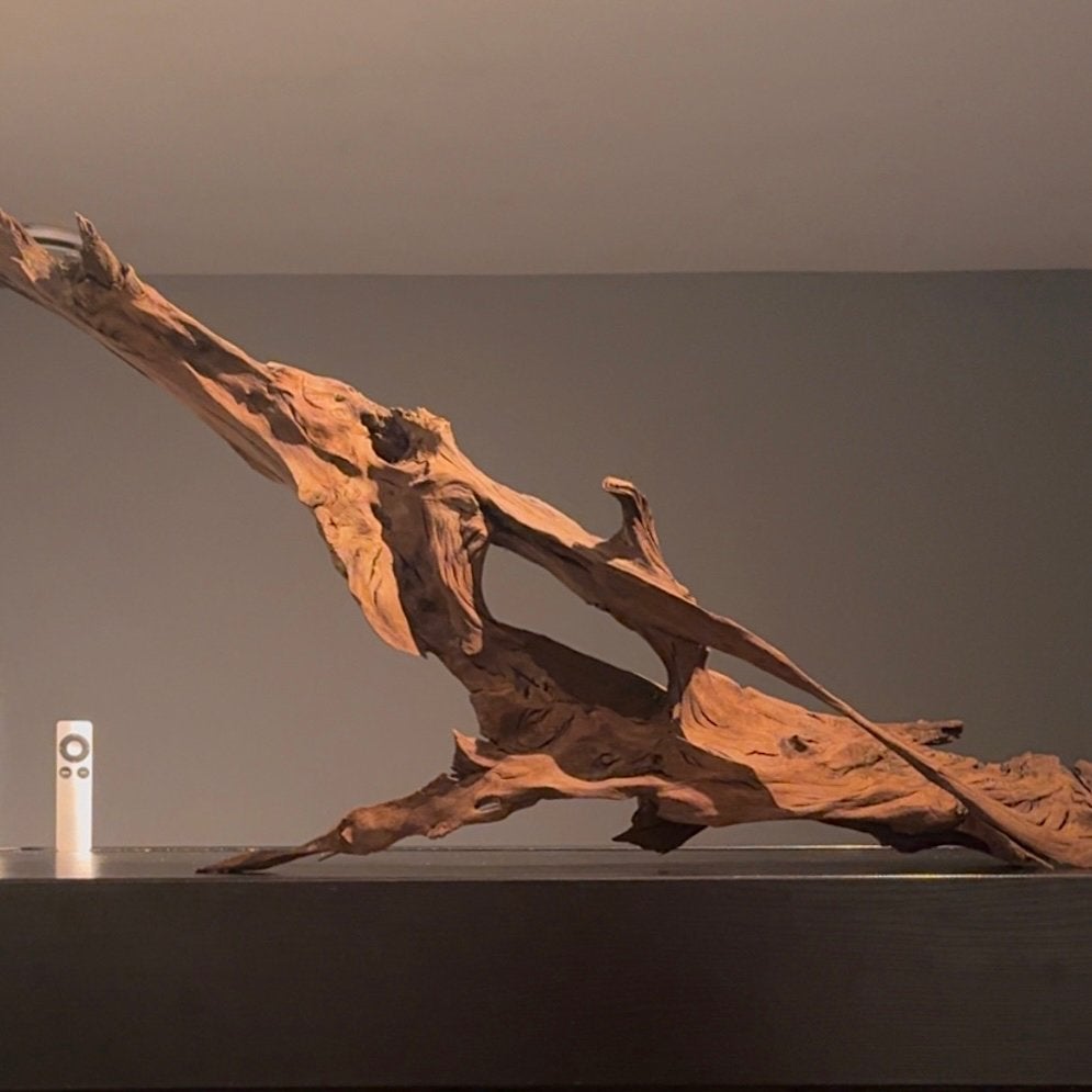 XXL Stuk Kienhout / Spiderwood / Driftwood, Hout Decoratie, Ophalen of Verzenden, Decoratie