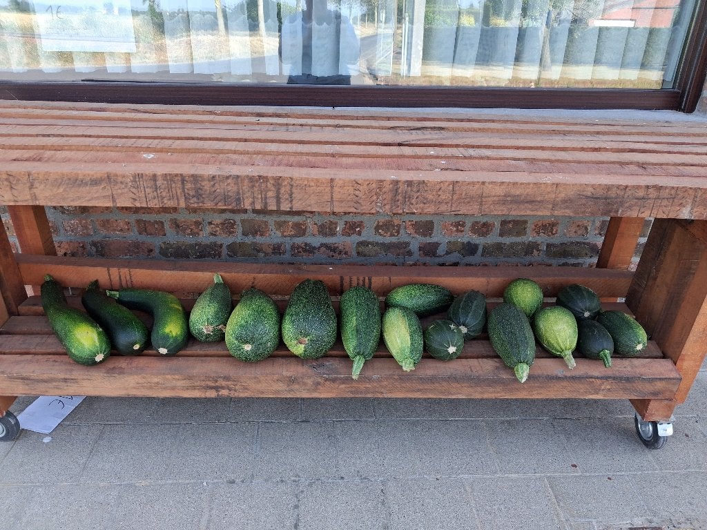 courgettes en pompoenen, Diversen, Ophalen