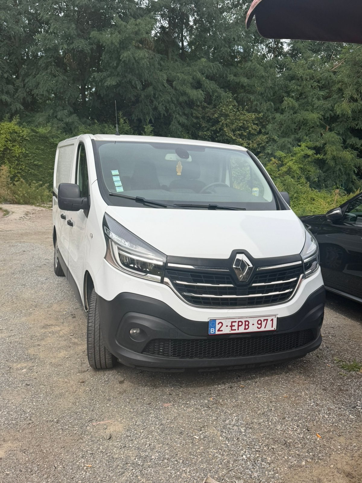 Renault Trafic, Autos, Camionnettes & Utilitaires, Diesel, Particulier, 4 cylindres, Blanc