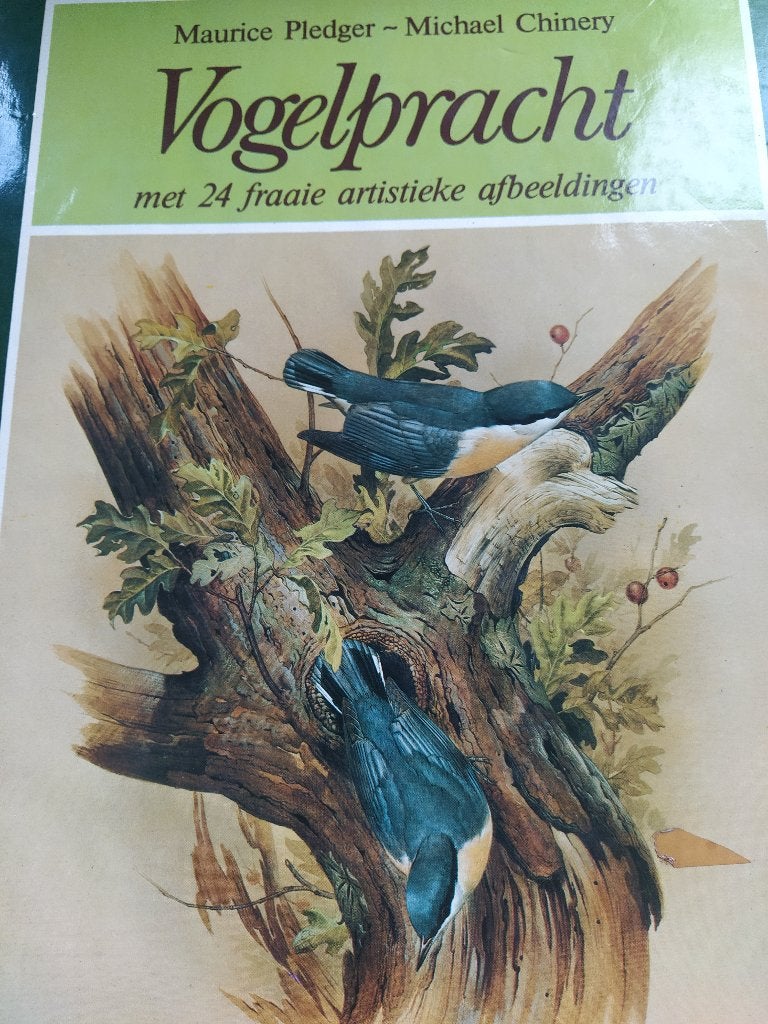 boek: vogelpracht in 24 artistieke afbeeldingen, Livres, Animaux & Animaux domestiques, Enlèvement ou Envoi, Utilisé, Oiseaux