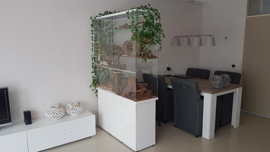 Terrarium glas groot formaat voor degoe en chinchilla, Kooi, 110 cm of meer, Nieuw, Ophalen of Verzenden