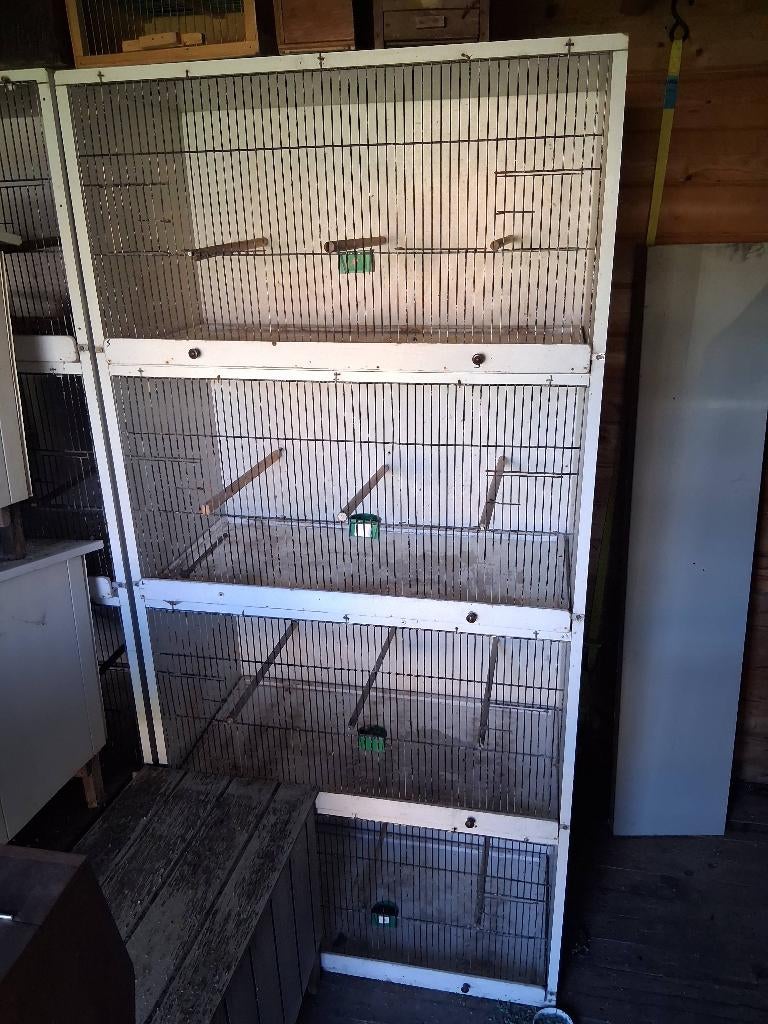 Vogelkooien, Dieren en Toebehoren, Ophalen