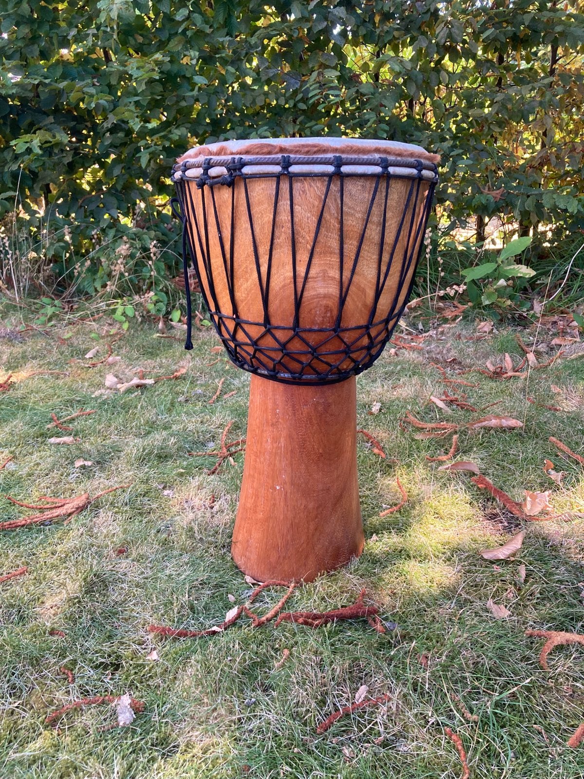 Djembé, Enlèvement, Utilisé