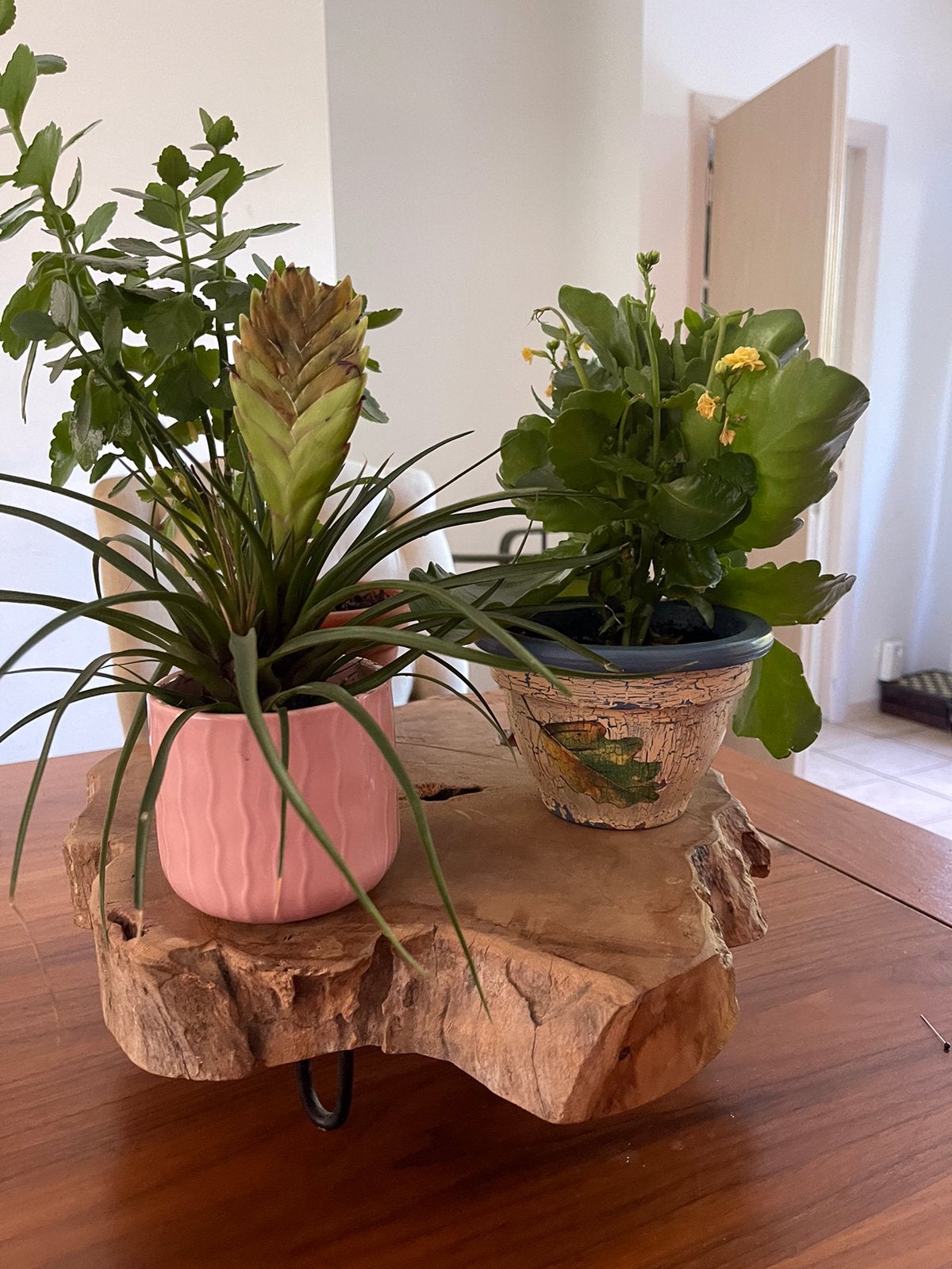 Accessoire pour la maison, Enlèvement, Comme neuf, Bois