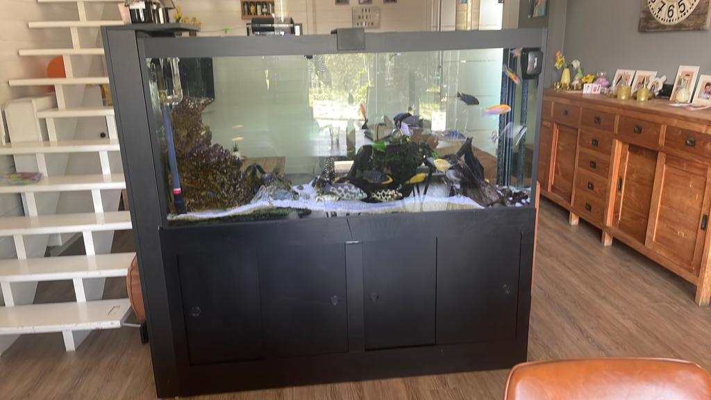 Mooi aquarium te koop, Dieren en Toebehoren, Ophalen, Zo goed als nieuw