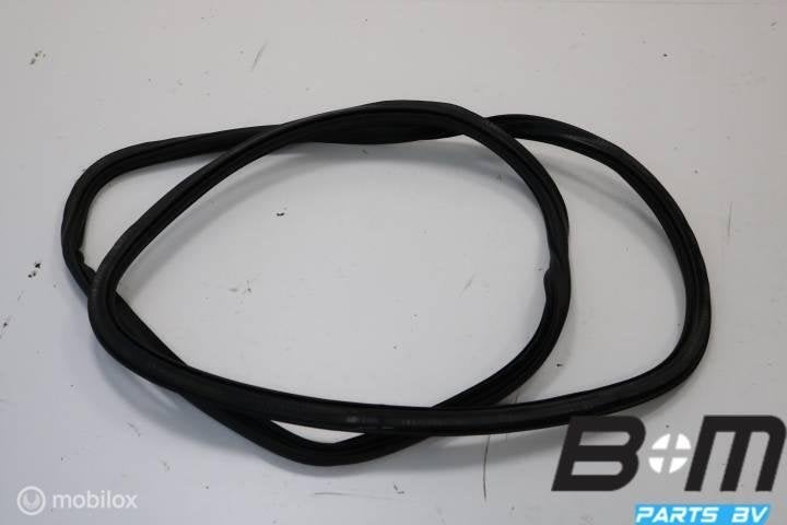 Portierrubber carrosseriezijde LV of RV Audi Q5 80A, Utilisé