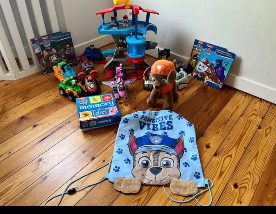 Collection Pat Patrouille, Collections, Jouets, Utilisé, Enlèvement