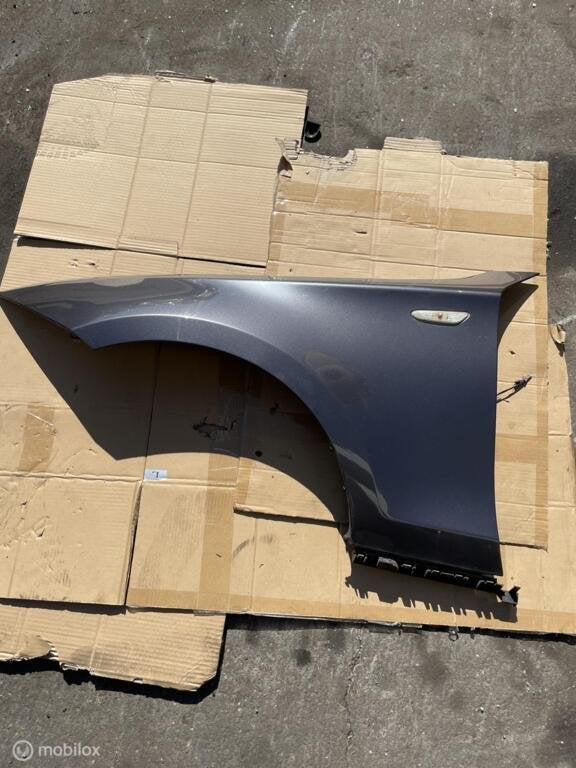 Voorscherm links links grijs BMW 1-serie E87 ('04-'11), Gebruikt, Ophalen of Verzenden, BMW, BMW