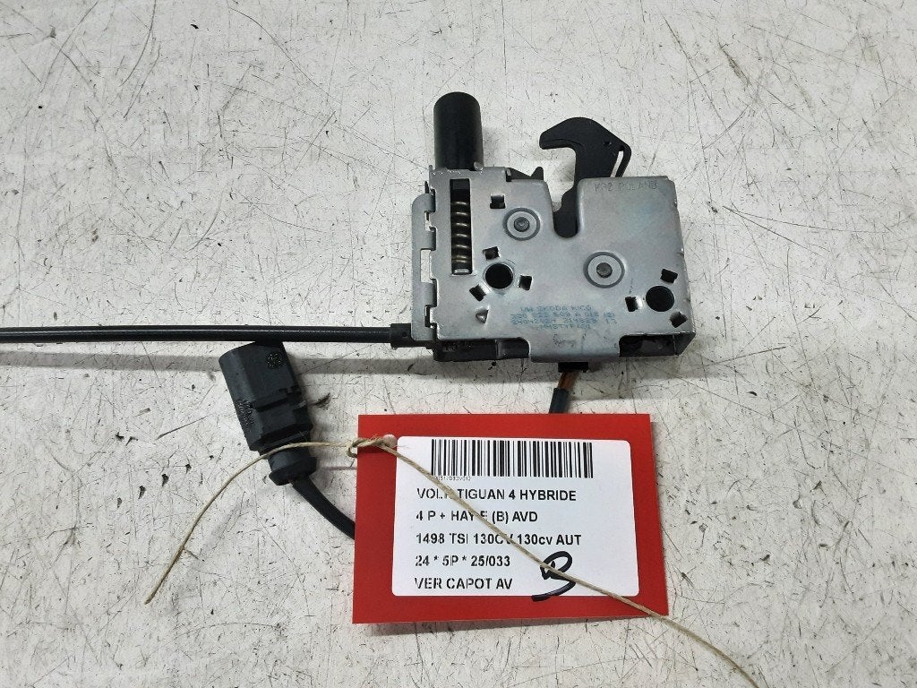 MOTORKAP SLOT Volkswagen Tiguan (CT1) (3J0823509A), Auto-onderdelen, Gebruikt, Volkswagen, Mevr. I. Hauben, Rue de l'Espoir 34 34
4030  GRIVEGNÉE, BE