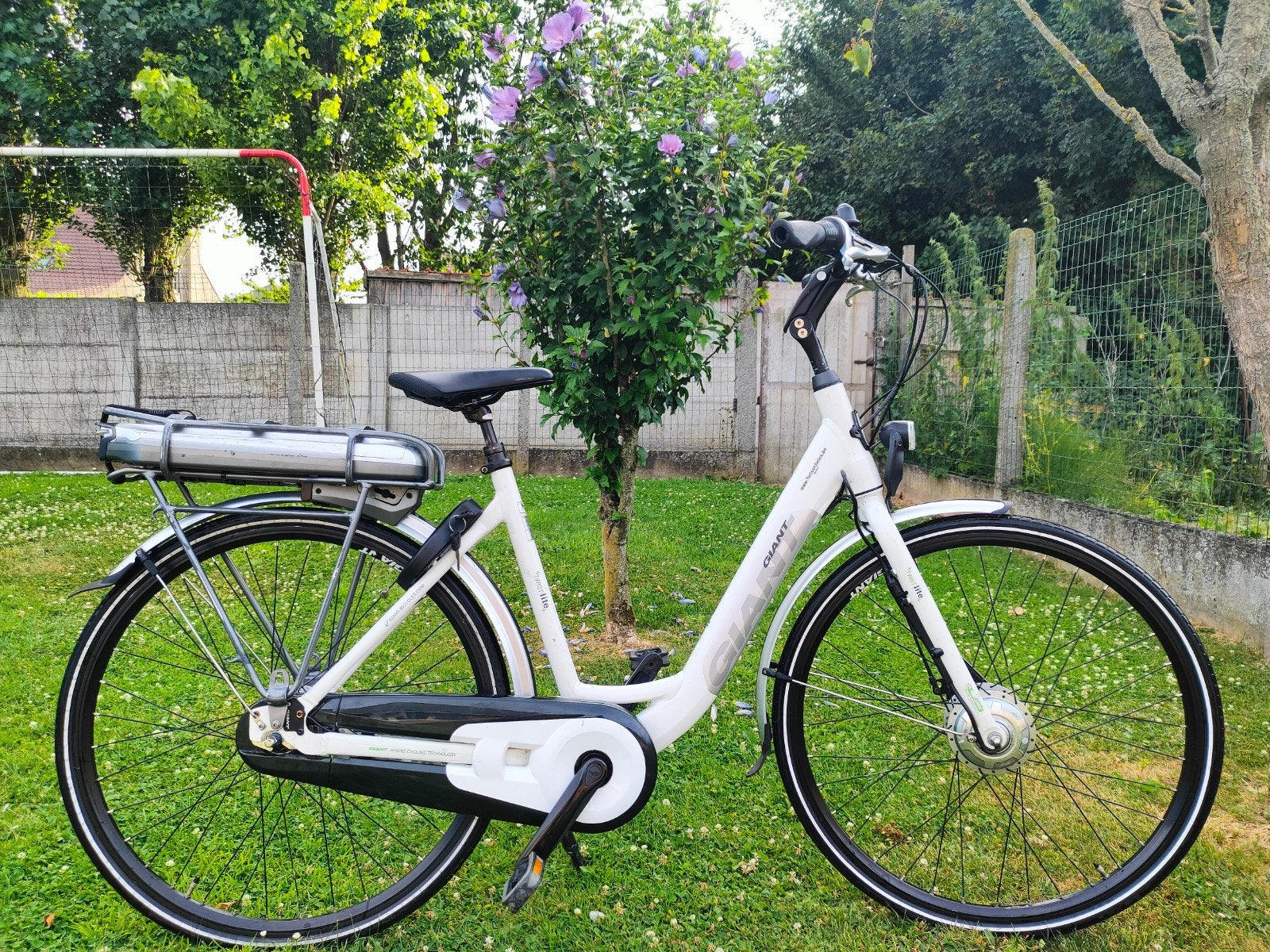 Giant elektrische fiets elektrische damesfiets e-bike electr, Fietsen en Brommers, Ophalen, Versnellingen, Giant, Zo goed als nieuw