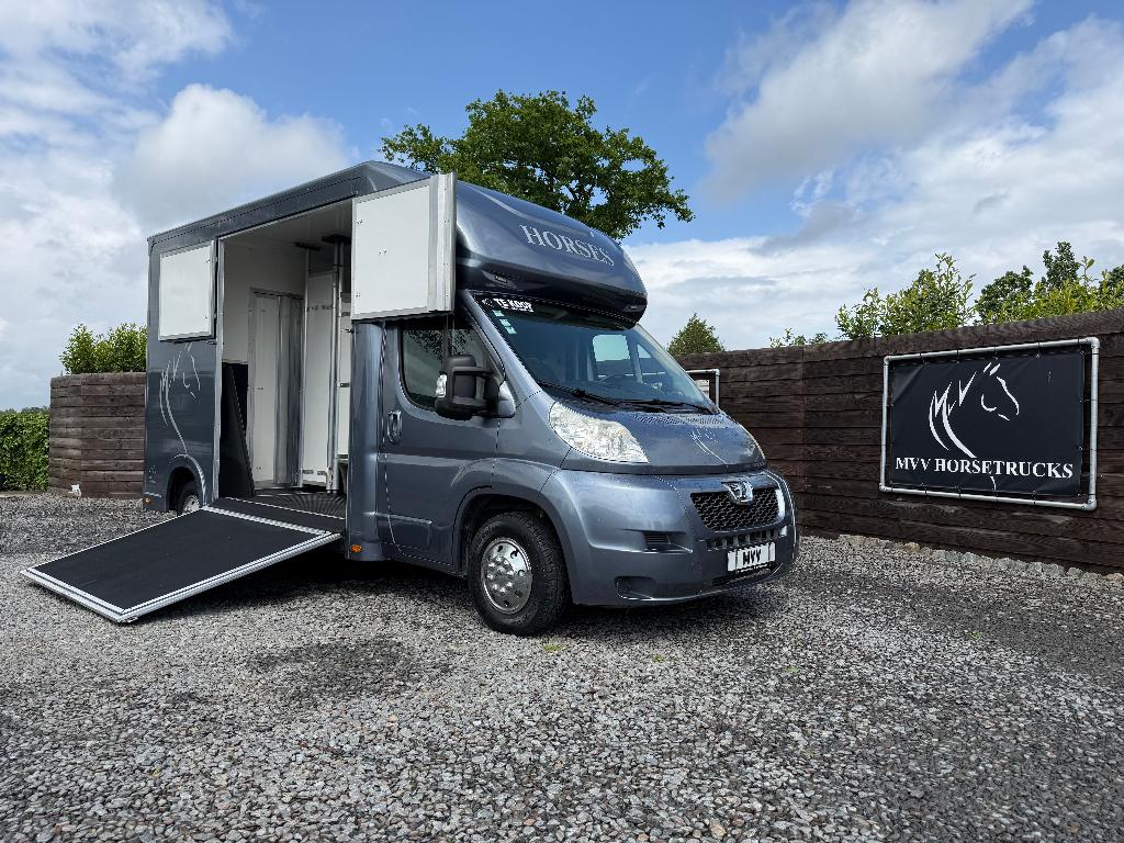 PEUGEOT | HORSETRUCK | OPBOUW 2023 | STALLION 3XL | 105d KM, Dieren en Toebehoren, Ophalen, Gebruikt, Overige materialen, Overige typen