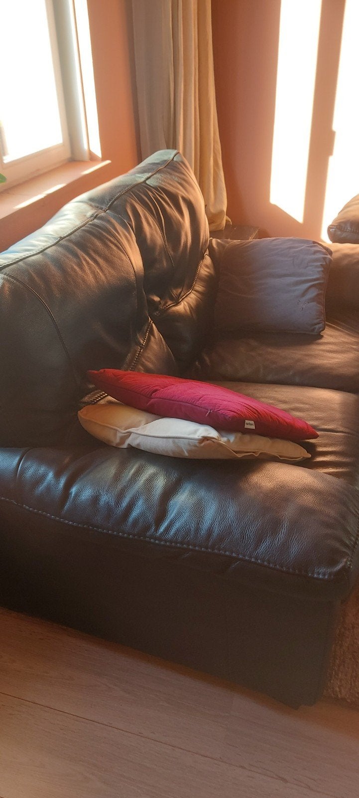 fauteuil en cuir de 2 places, Enlèvement, Comme neuf, Deux personnes, Cuir