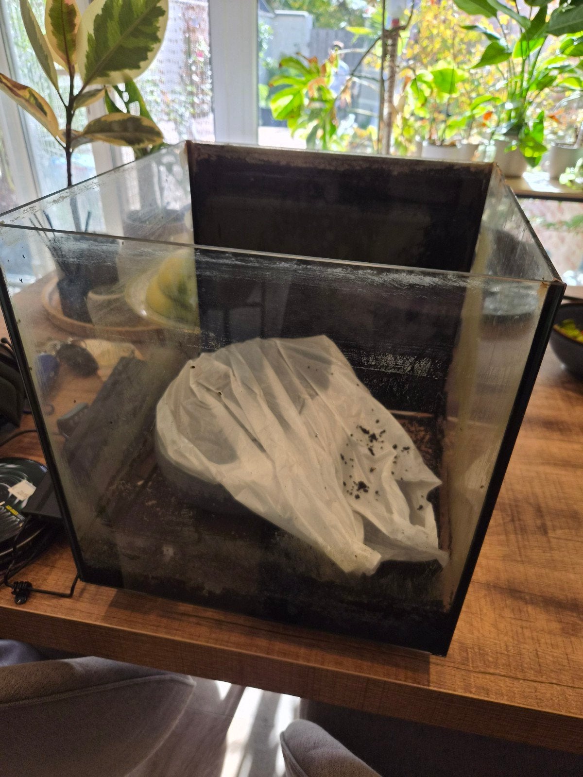 aquarium qubic 30, Dieren en Toebehoren, Ophalen