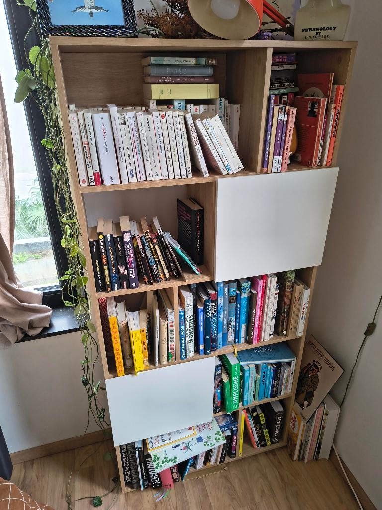 Bibliothèque, Maison & Meubles, Armoires | Bibliothèques, Utilisé, 50 à 100 cm, 150 à 200 cm, 25 à 50 cm, Avec porte(s), Autres matériaux