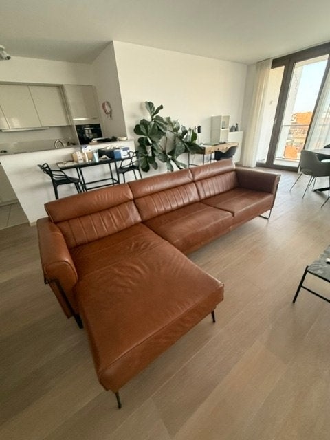 Lederen salon, Ophalen, Gebruikt, Leer, Modern