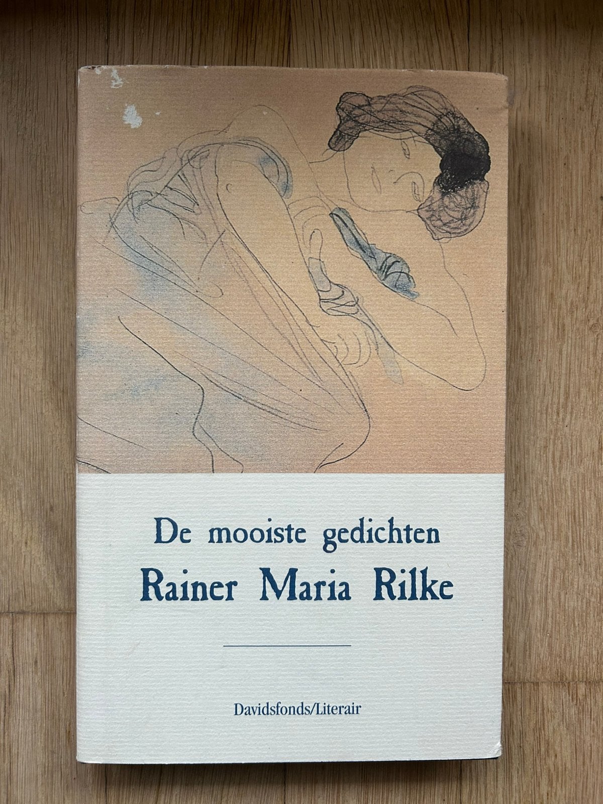 Rainer Maria Rilke - De mooiste gedichten, Boeken, Rainer Maria Rilke, Eén auteur, Ophalen, Gelezen