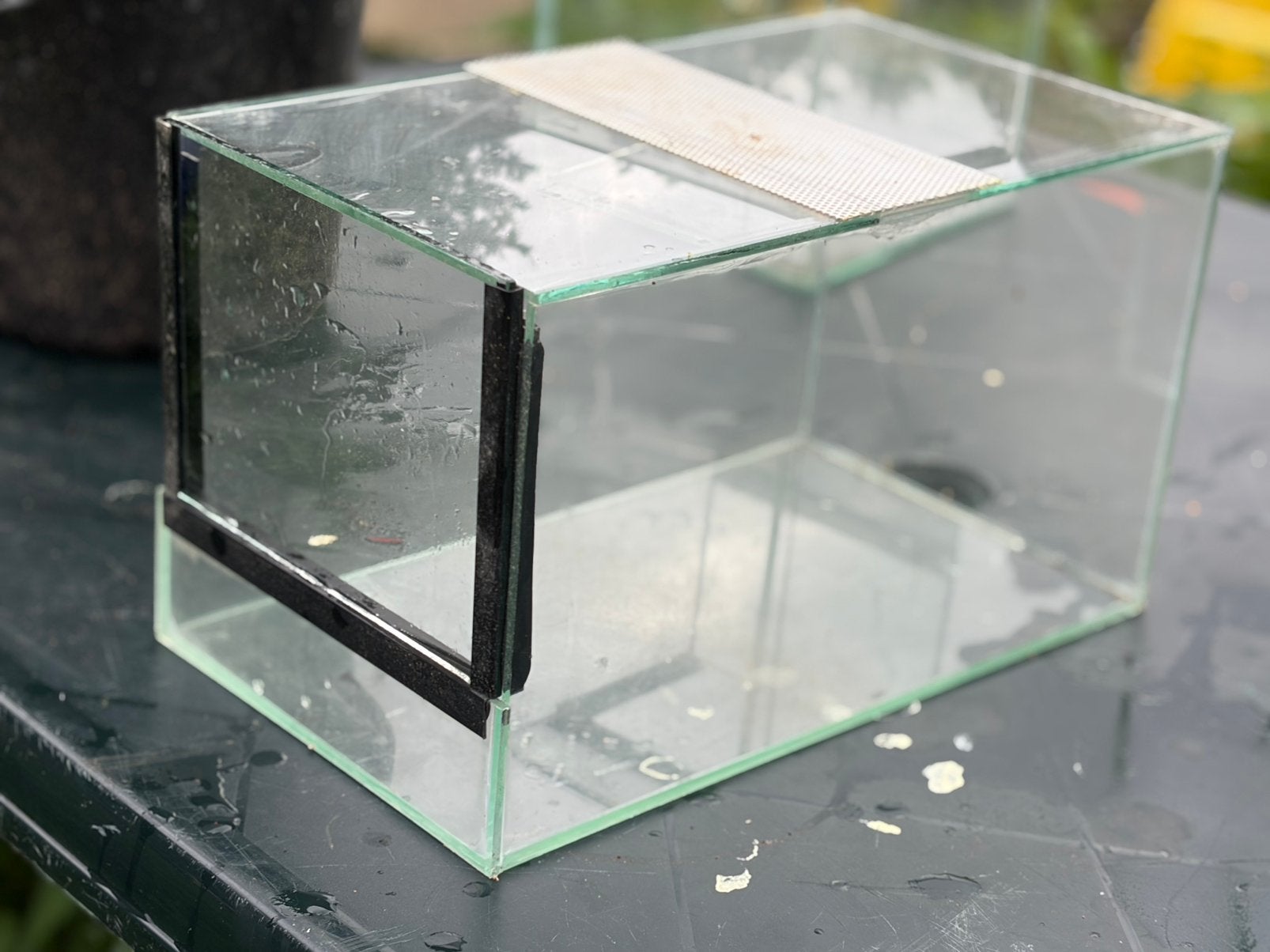 Terrarium, Dieren en Toebehoren, Spin of Schorpioen