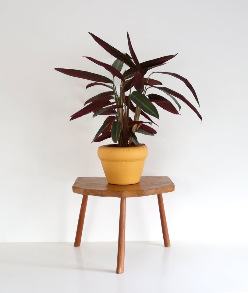 Primitief tafeltje - Vintage tripod tafel - Bijzettafel, Antiek en Kunst, Ophalen