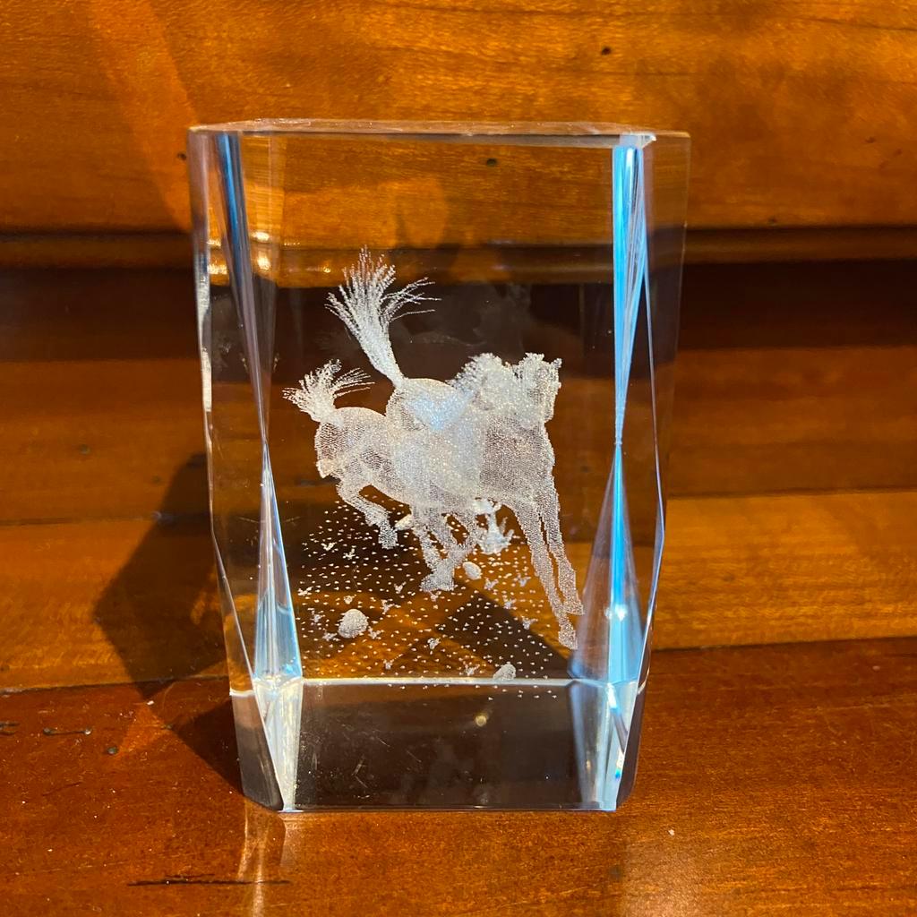 Prachtige paarden in glas., Ophalen