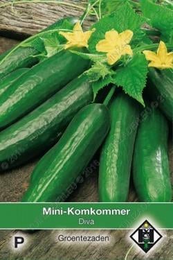 plants de concombre 10 variétés de concombres, Annuelle, Été, Enlèvement, Plantes potagères