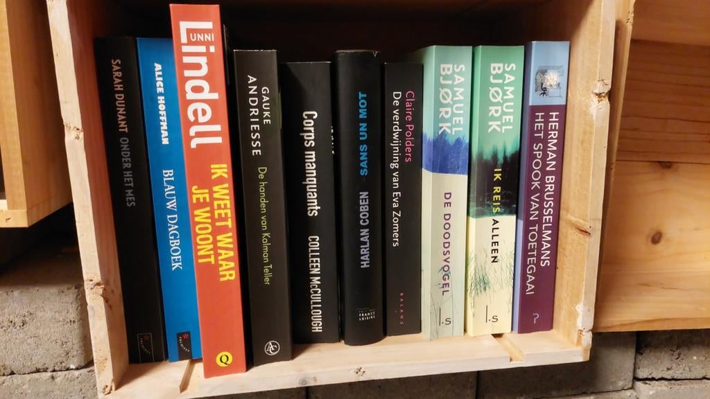 Livres, thrillers, Immo