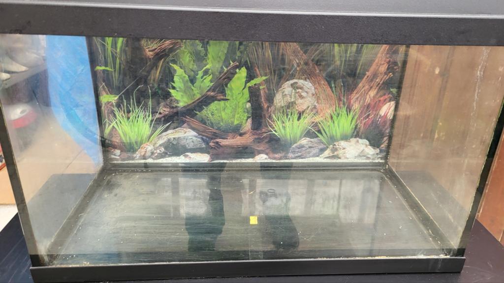 Bijou d'aquarium 60L, Enlèvement