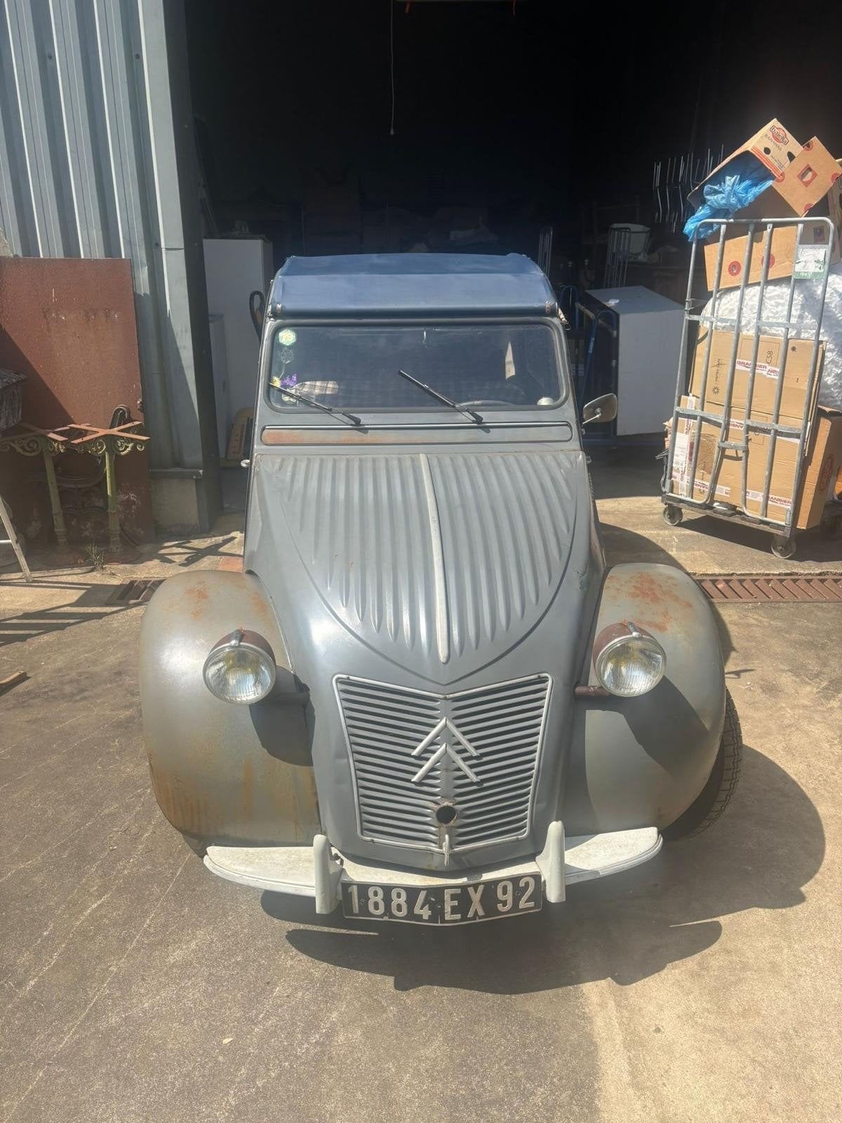 Citroen 2pk geit 1958, foto 4